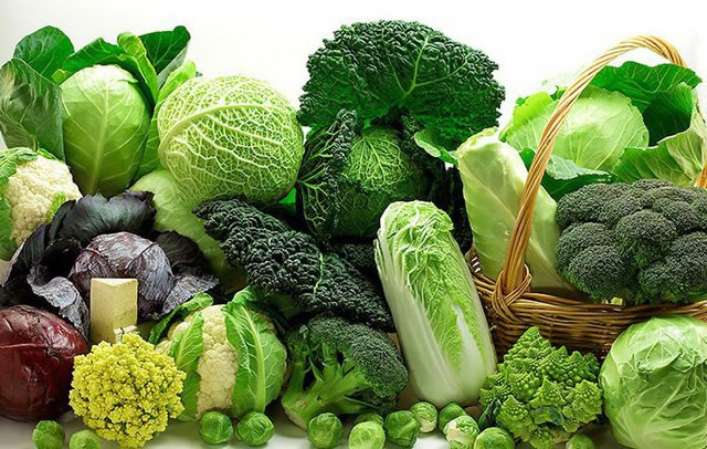 Những loại okviphoatdong tốt cho sự phát triển trí não của trẻ-2