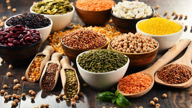 5 loại okviphoatdong hàng đầu giúp tăng cường trí nhớ cho các sĩ tử trong mùa thi-2