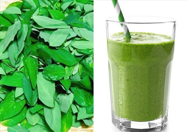 Dấu hiệu liên minh okvip do uống nước ép rau ngót giảm cân sai cách-Ảnh 2