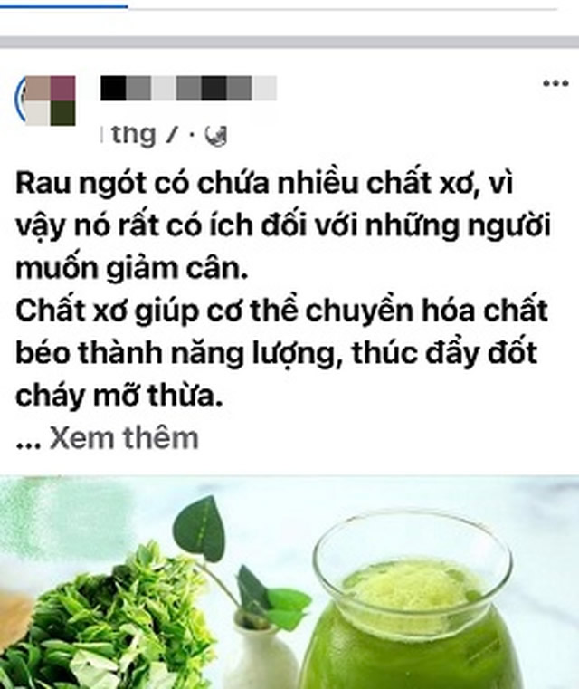Dấu hiệu liên minh okvip do uống nước ép rau ngót giảm cân sai cách-Ảnh 1