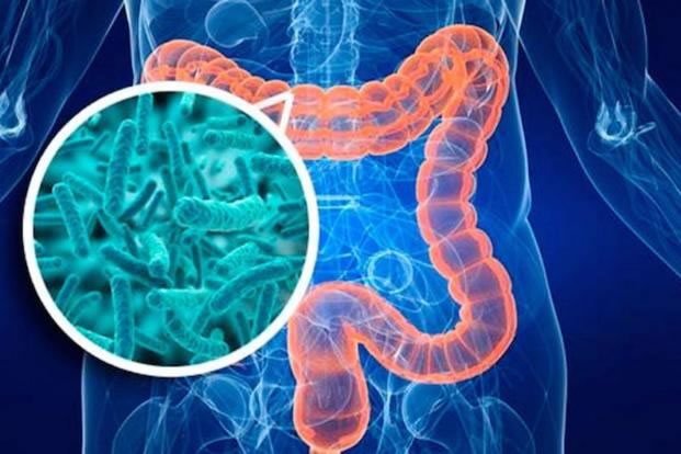 Những lý do khiến bạn nên ăn okviphoatdong lên men mỗi ngày - Ảnh 2