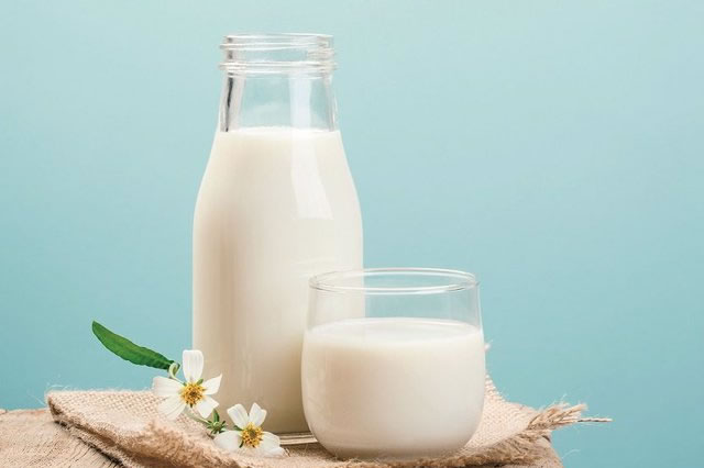 Trẻ uống quá nhiều sữa tươi và những hệ lụy với okvip88 - Ảnh 2