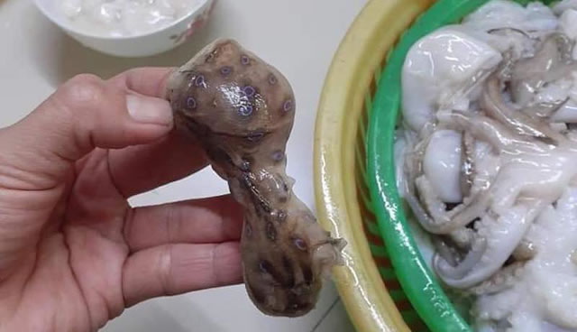 Một số loại cá, hải sản nên thận trọng khi ăn để phòng nguy cơ liên minh okvip nặng - Ảnh 7