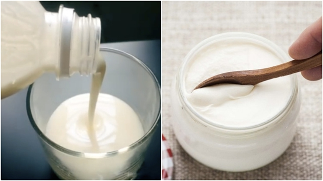 6 loại okviphoatdong giàu protein tốt cho người bệnh sốt xuất huyết - Ảnh 3
