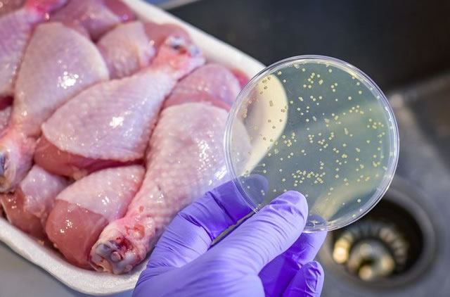 okvip88 nào có thể nhiễm khuẩn Salmonella - nguyên nhân được hướng đến trong vụ liên minh okvip tại trường iSchool Nha Trang? - Ảnh 3