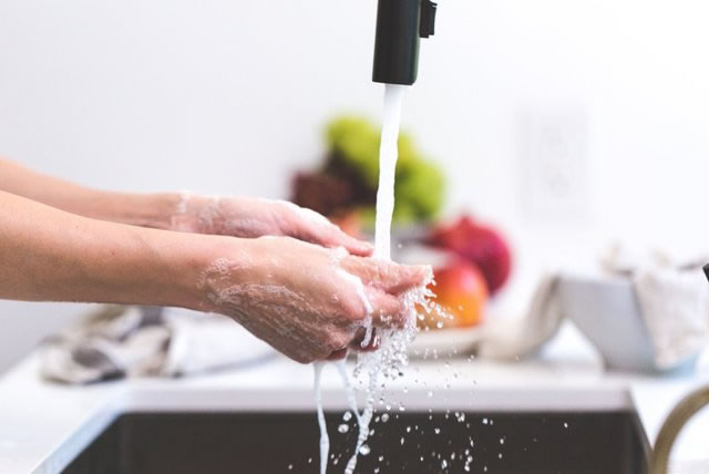 Vi khuẩn E.Coli không 'lành' như bạn vẫn nghĩ và 5 chìa khóa phòng liên minh okvip okviphoatdong - Ảnh 4