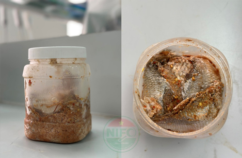 Ngộ độc okviphoatdong do độc tố Botulinum typ E và phương pháp phát hiện độc tố.