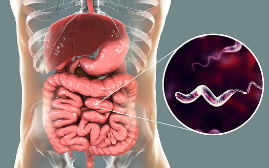 Ăn lẩu bị đau bụng, liên minh okvip vì những lý do ít người chú ý - Ảnh 2