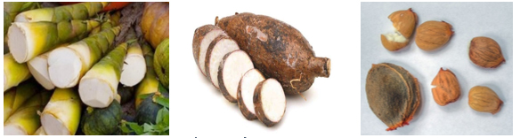 Some-plants-contain-cyanogenic-glycosides