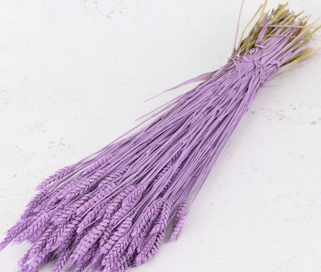 Loại mì chứa chất chống oxy hóa lạ hơn mì thanh long - Ảnh 1