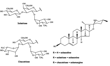alkaloid-gay-doc-dien-hinh-cua-solanum-viarum-dunal