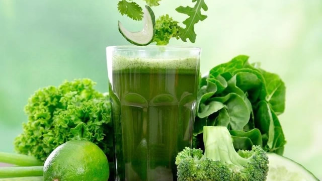 Những okviphoatdong chứa diệp lục có lợi cho okvip88 - Ảnh 2