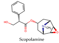 Alkaloid-gay-doc-dien-hinh-cua-hoa-chuong