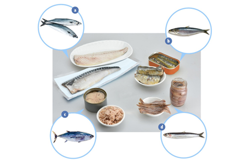 Prevention of food poisoning due to Histamine