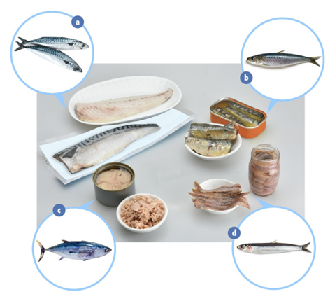 some-foods-which-contain-histamine