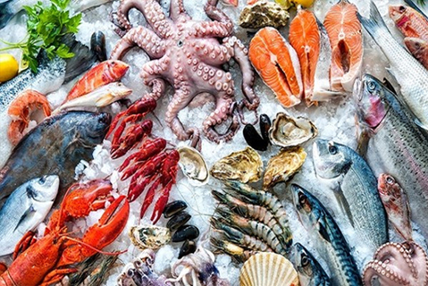 some-types-of-fisheries-and-aquatic-products